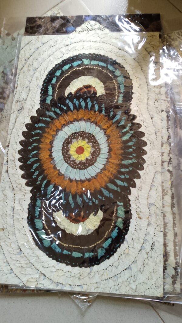 Feather Art