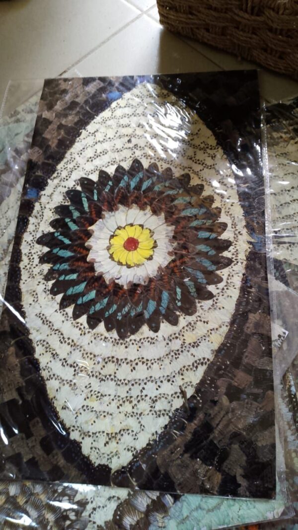 Feather Art