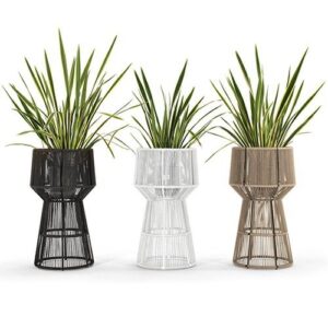Rattan Pot & Plant