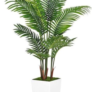 Square Shape Glossy Pot + Live Palm